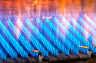 Roche Grange gas fired boilers